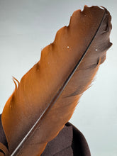Load image into Gallery viewer, Original 1940's Warn Brown Felt Hat by Jacoll with Large Bow Trim and Chestnut Brown Feather