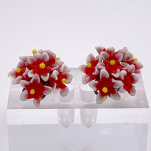 Load image into Gallery viewer, Original 1940's Red, White and Yellow Glass Flower Clip on Earrings