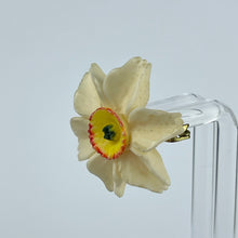 Load image into Gallery viewer, Vintage 1940's 1950's Carved Daffodil Brooch and Clip on Earring Set