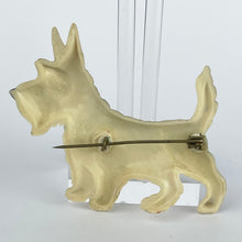 Load image into Gallery viewer, Original 1930's or 1940's Early Plastic Scottie Dog Brooch with Cute Green Collar and Gold Tag