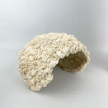 Load image into Gallery viewer, Original 1950's Cream Ruffled Lace Half Hat - Perfect for a Summer Wedding