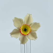 Load image into Gallery viewer, Vintage 1940's 1950's Carved Daffodil Brooch and Clip on Earring Set
