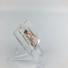 Load image into Gallery viewer, Original 1940s Rectangular Reverse Carved Lucite Brooch with Crinoline Lady and Flowers