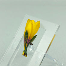 Load image into Gallery viewer, Vintage Carved Crocus Flower Brooch