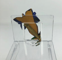 Load image into Gallery viewer, Vintage 1930s 1940s Carved Bakelite Gentian Violet Brooch