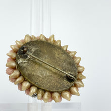 Load image into Gallery viewer, Original 1930's 1940's Pastel Pink and Blue Brooch With Faux Pearl Tips