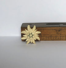 Load image into Gallery viewer, Vintage Carved Edelweiss Tourist Brooch