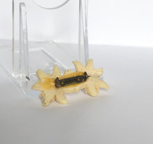 Load image into Gallery viewer, Vintage Carved Double Edelweiss Tourist Brooch