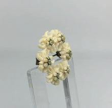 Load image into Gallery viewer, Vintage 1930s 1940s Off-White Carved Edelweiss Circlet Brooch