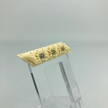 Load image into Gallery viewer, Vintage 1930s 1940s Carved Edelweiss Brooch with Three Finely Carved Flowers