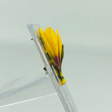 Load image into Gallery viewer, Vintage Carved Crocus Flower Brooch