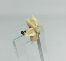 Load image into Gallery viewer, Vintage 1930s 1940s Carved Daffodil Brooch