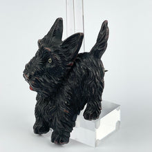 Load image into Gallery viewer, Charming Original 1940's Large Black Scottie Dog Celluloid Brooch with Moveable Head