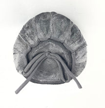 Load image into Gallery viewer, Original 1950's Shiny Black Straw Petal Hat with Grosgrain Bow Trim *