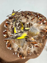 Load image into Gallery viewer, Original 1940's Brown Felt Bonnet Hat with Bird and Pheasant Feather Trim *
