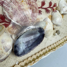 Load image into Gallery viewer, Original 1950&#39;s Princess Charming by Atlas White Wicker Bag with White Lucite Handles and Real Shell Decoration
