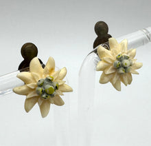 Load image into Gallery viewer, Original 1930&#39;s 1940&#39;s Carved Edelweiss Clip On Flower Earrings
