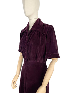 Original 1940's Aubergine Purple Cotton Velvet Dress with Huge Collar and Covered Buttons - Bust 38 40