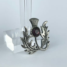 Load image into Gallery viewer, Charming Vintage Scottish Thistle Brooch with Purple Paste Stone
