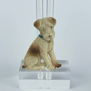 Original 1940's Cream and Brown Dog with Blue and Gold Collar