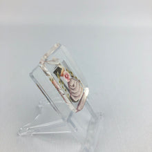 Load image into Gallery viewer, Original 1940s Rectangular Reverse Carved Lucite Brooch with Crinoline Lady and Flowers
