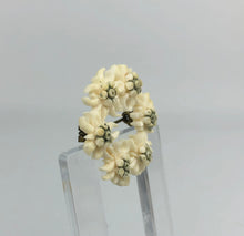 Load image into Gallery viewer, Vintage 1930s 1940s Off-White Carved Edelweiss Circlet Brooch
